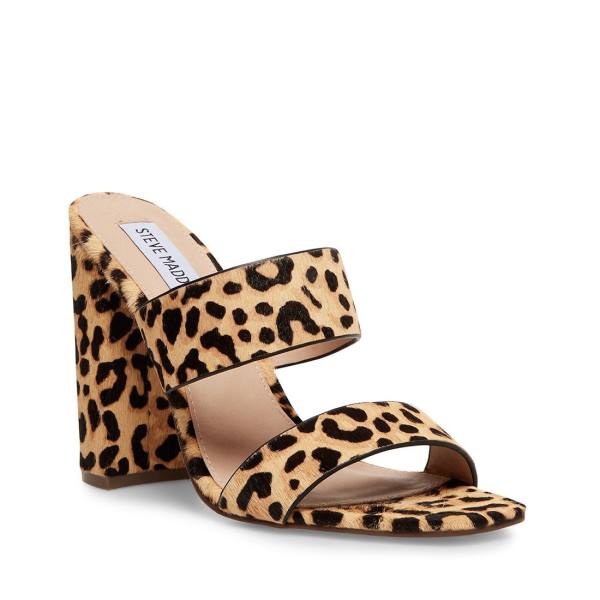 Szpilki Damskie Steve Madden Tegan-l Leopard Heel Panterka | SM-257EQ