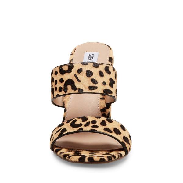 Szpilki Damskie Steve Madden Tegan-l Leopard Heel Panterka | SM-257EQ