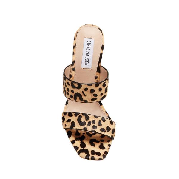 Szpilki Damskie Steve Madden Tegan-l Leopard Heel Panterka | SM-257EQ