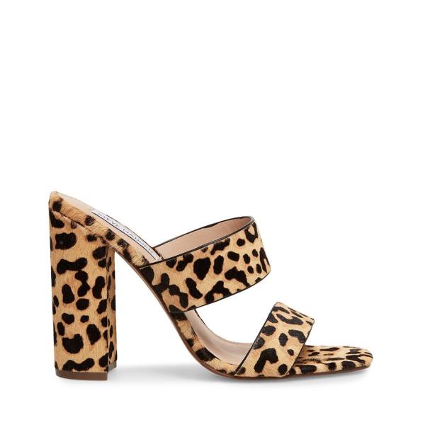 Szpilki Damskie Steve Madden Tegan-l Leopard Heel Panterka | SM-257EQ