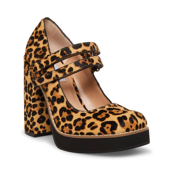 Szpilki Damskie Steve Madden Twice-p Leopard Heel Panterka | SM-748NH