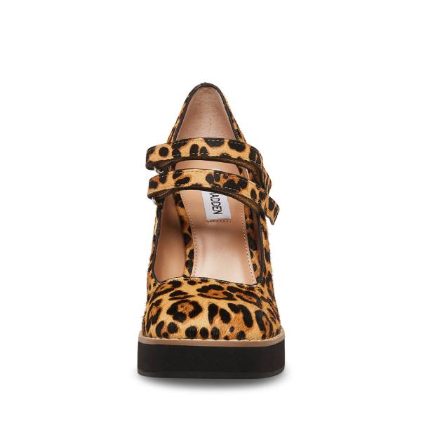 Szpilki Damskie Steve Madden Twice-p Leopard Heel Panterka | SM-748NH