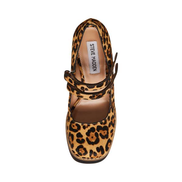 Szpilki Damskie Steve Madden Twice-p Leopard Heel Panterka | SM-748NH