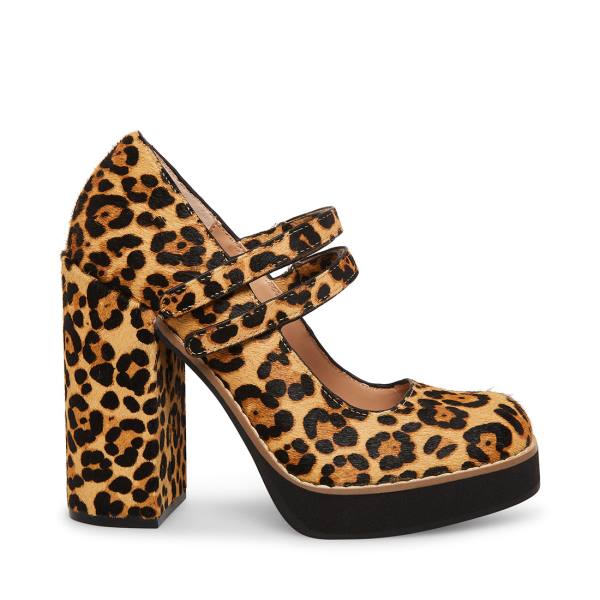 Szpilki Damskie Steve Madden Twice-p Leopard Heel Panterka | SM-748NH