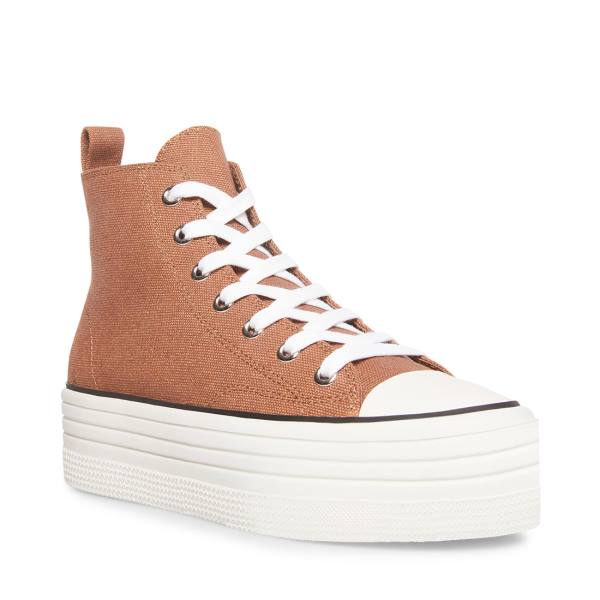 Trampki Damskie Steve Madden Berkley Mocha Beżowe | SM-734IB