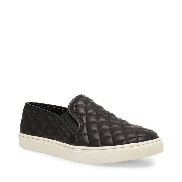 Trampki Damskie Steve Madden Ecentrcq Czarne | SM-387WF