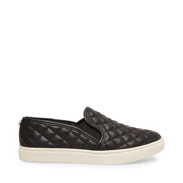 Trampki Damskie Steve Madden Ecentrcq Czarne | SM-387WF