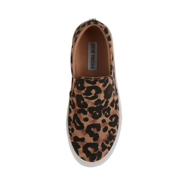 Trampki Damskie Steve Madden Gills-a Leopard Panterka | SM-864IQ