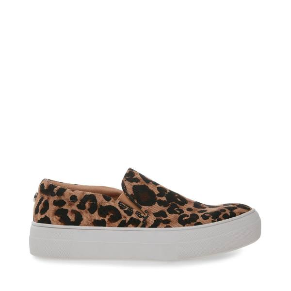 Trampki Damskie Steve Madden Gills-a Leopard Panterka | SM-864IQ