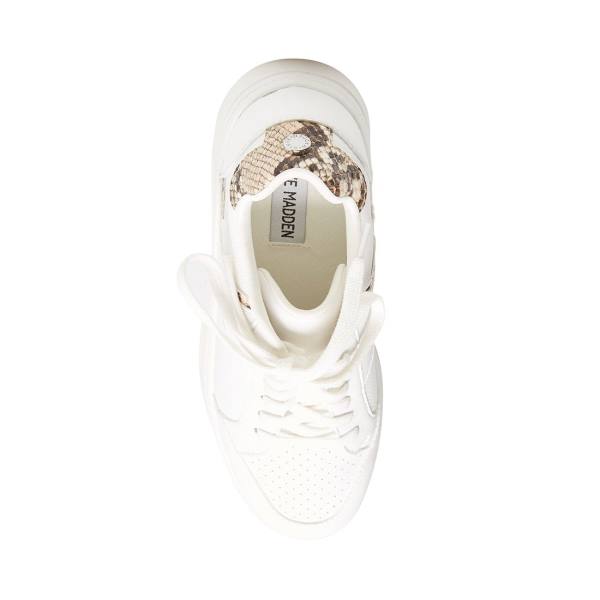 Trampki Damskie Steve Madden Harmonize Tan Snake Brązowe Wąż | SM-465VG