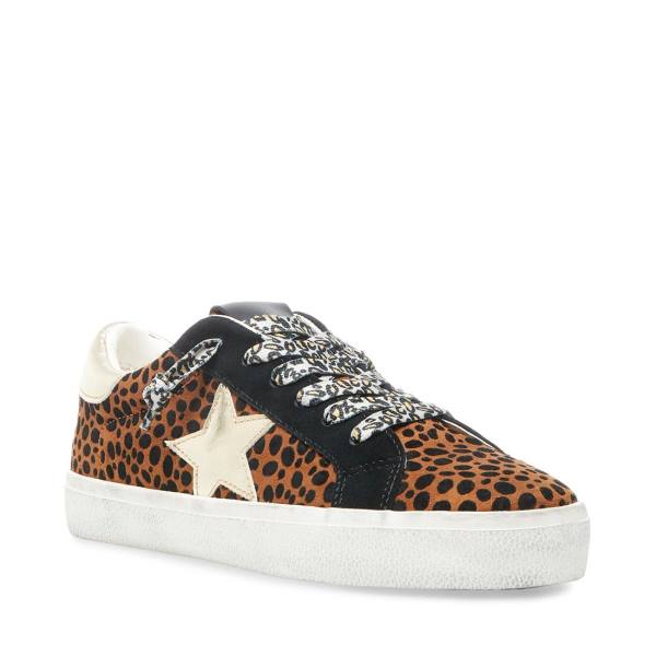 Trampki Damskie Steve Madden Philosophy Leopard Panterka Kolorowe | SM-576YS