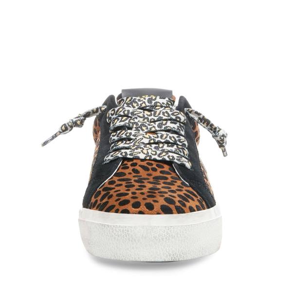 Trampki Damskie Steve Madden Philosophy Leopard Panterka Kolorowe | SM-576YS