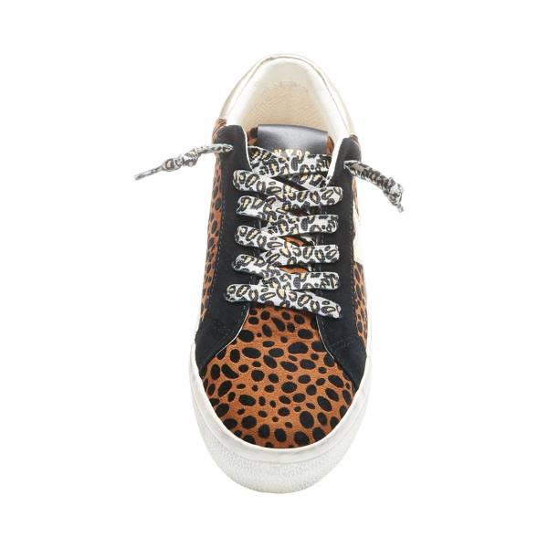 Trampki Damskie Steve Madden Philosophy Leopard Panterka Kolorowe | SM-576YS