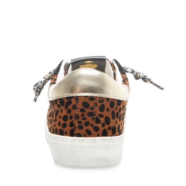 Trampki Damskie Steve Madden Philosophy Leopard Panterka Kolorowe | SM-576YS