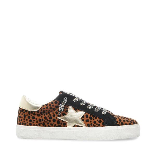 Trampki Damskie Steve Madden Philosophy Leopard Panterka Kolorowe | SM-576YS