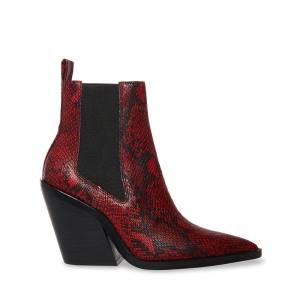 Botki Damskie Steve Madden Caution Snake Czerwone Wąż | SM-809UF