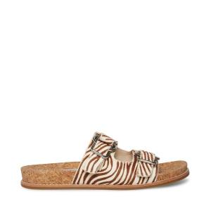 Sandały Damskie Steve Madden Zeya Tiger | SM-134KP