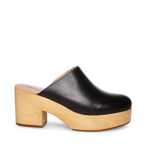 Szpilki Damskie Steve Madden Bayridge Skórzane Heel Czarne | SM-230OT