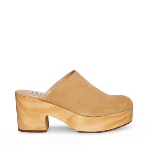 Szpilki Damskie Steve Madden Bayridge Taupe Zamszowe Heel Szare Brązowe | SM-936GC