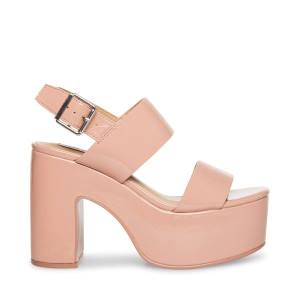 Szpilki Damskie Steve Madden Dafne Lakierowana Heel Różowe | SM-601BV