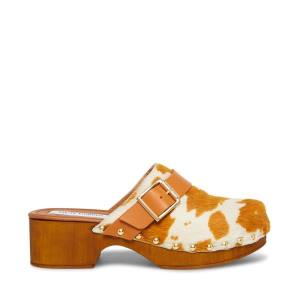 Szpilki Damskie Steve Madden Dana-p Tan Heel Brązowe Brązowe | SM-925US