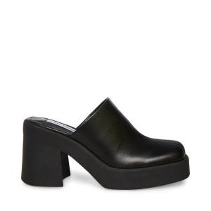 Szpilki Damskie Steve Madden Kam Skórzane Heel Czarne | SM-173GH