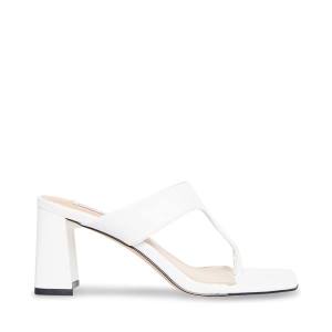 Szpilki Damskie Steve Madden Lamorna Heel Białe | SM-514FL