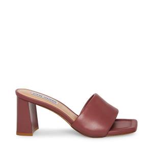 Szpilki Damskie Steve Madden Lexie Mauve Heel Fioletowe | SM-370JX