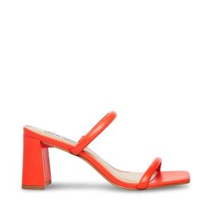 Szpilki Damskie Steve Madden Lilah Heel Czerwone | SM-639TF