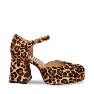 Szpilki Damskie Steve Madden Mimi-l Leopard Heel Panterka | SM-549KV